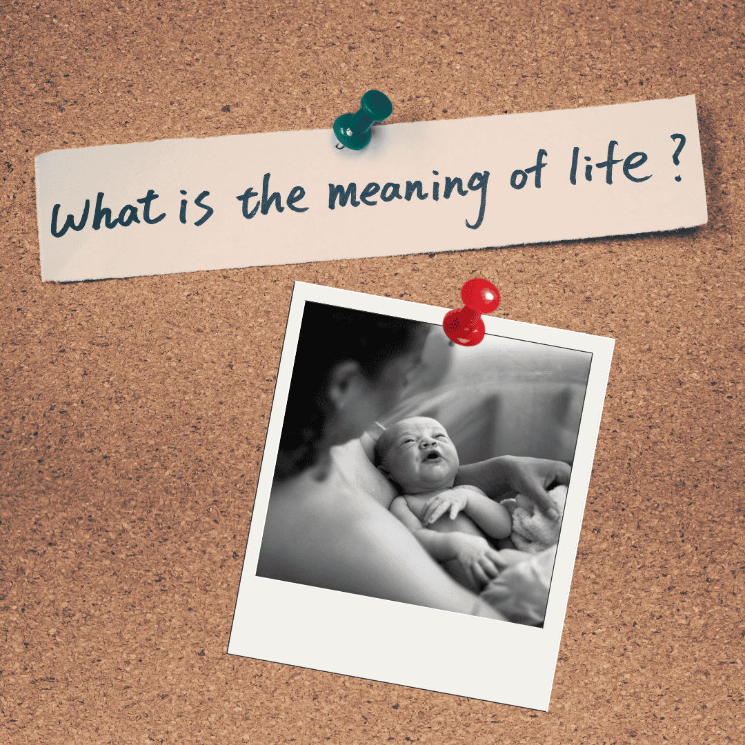 What is a meaningful birth?